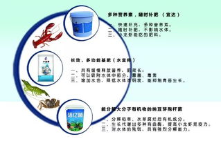 四月金砖水产盛会 先进养殖设备与技术齐聚厦门